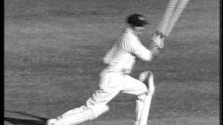 Paul Kelly  Bradman Official Video [upl. by Raymonds625]