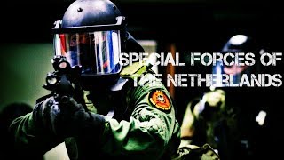 Netherlands Special Forces  Speciale Eenheden in Nederland [upl. by Bertero89]