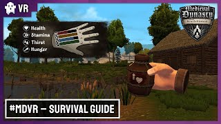 Medieval Dynasty New Settlement  Survival Guide  Meta Quest 2 3 amp PRO  VR [upl. by Gylys72]