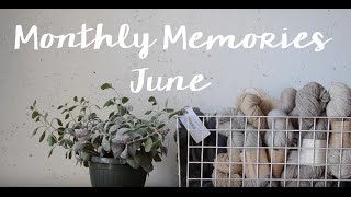 MONTHLY MEMORIES  June 2016 VLOG [upl. by Grous533]