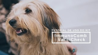 Tutorial de uso do kit ImmunoComb VacciCheck® [upl. by Akirahc]