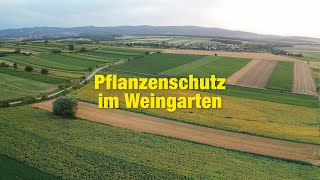 RWA Pflanzenschutz – Pflanzenschutz im Weingarten [upl. by Amann]