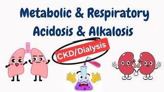 What is Acidosis Alkalosis Acid base balance in DialysisCkd patients metabolic acidosis [upl. by Enelime283]