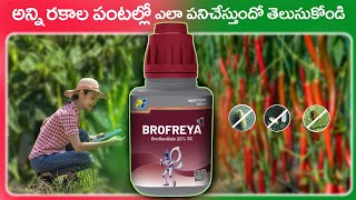 Brofreya Insecticide Telugu  PI Company  Broflanide 20 SC  Agriculture [upl. by Inaleon]