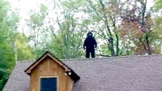 SUICIDAL SASQUATCH CAUGHT ON VIDEO [upl. by Trebleht]