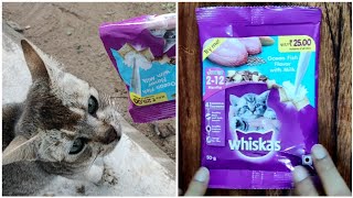 Whiskas Cat Food Review  Best Cat Kitten Food in India [upl. by Sharai507]