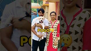 Pogo Ghar Se Bhag Gya😢😢 shorts vlog minivlog puppy doglover [upl. by Notnats]