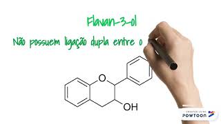 Classes de Flavonoides [upl. by Cown]