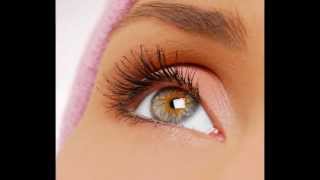 StudioLASH® Semi Permanent Mascara [upl. by Sigrid]