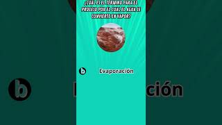 quot¡Desafía tu Conocimiento del Clima 🌦️quot quiz trivia curioseando juego [upl. by Anivid]