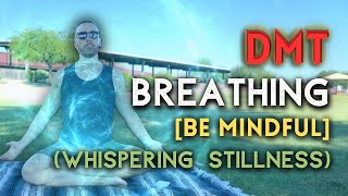 BE MINDFUL DMT Breathing to The Quiet Stillness  1Min 21s Holds  3 Rounds Session 1831 [upl. by Htomit37]