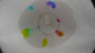 Chromatography Highlighter in Water [upl. by Darom]