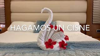 ANIMALES DE TOALLA 1  Tortuga Elefante Cisne  DIY Tutorial [upl. by Friedly]