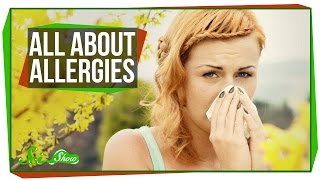 All About Allergies [upl. by Intisar89]