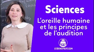 Loreille humaine et les principes de laudition  Sciences  1re  Les Bons Profs [upl. by Gault]