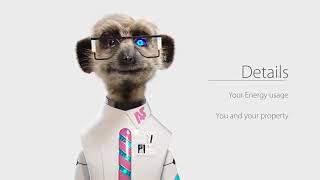 Compare the Meerkat  Advert 88 [upl. by Eelek]