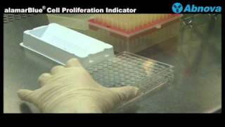 alamarBlue® Cell Proliferation Indicator [upl. by Gahan]