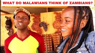 Why do Malawians feel this way about Zambians [upl. by Nanek]