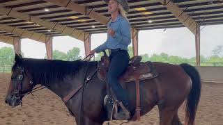 How to teach your horse to do a flying lead change [upl. by Ohare]