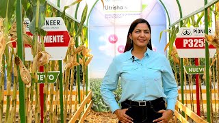 Corteva Agriscience presenta nuevas tecnologías [upl. by Chita]