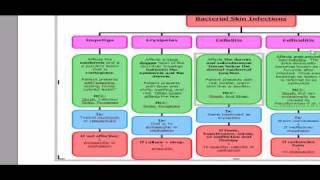 USMLE ALGORITHMS Bacterial Skin Infections [upl. by Eiser]