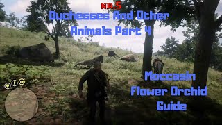 RDR2  Duchesses And Other Animals Part 4  Moccasin Flower Orchid Guide [upl. by Zenas]