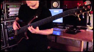 Cynic quotVeil of Mayaquot Bass PlayThrough by Sean Malone [upl. by Yeliab]