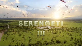 Serengeti III  Official Trailer  BBC Studios [upl. by Abigail815]