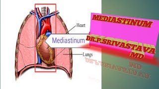 MEDIASTINUM WITH CLINICAL ANATOMY [upl. by Nolyaw196]