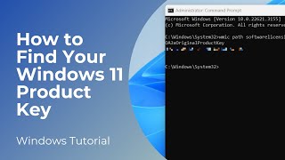 How to Find Your Windows 11 Product Key [upl. by Bev]