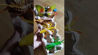 montessori game ideas releasing insects montessori sensoryactivity finemotor [upl. by Bennir918]