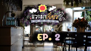 แวะมาเยี่ยว Ep2 The Diplomat Cafe Rose bay Sydney [upl. by Abraham]