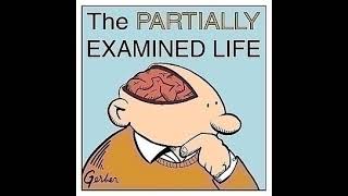 Partially Examined Life 261 Derek Parfit on Personal Identity Part One [upl. by Thoma730]