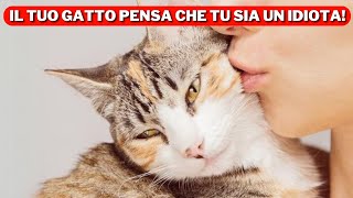 6 segni che il tuo gatto pensa che tu sia un idiota ma lo tollerano perché ti amano [upl. by Hollie]