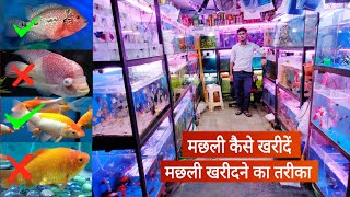 मछली कैसे खरीदें मछली खरीदने का तरीका  How to buy fish  buy healthy fish from fish shop [upl. by Yvaht]