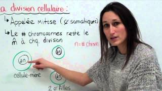 18 Sciences 9e Le cycle cellulaire [upl. by Zea7]