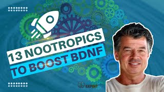 13 nootropics to boost BDNF [upl. by Niko456]