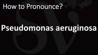 How to Pronounce Pseudomonas aeruginosa CORRECTLY [upl. by Saul620]