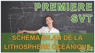 Schéma bilan de la lithosphère océanique  SVT  1ère  Les Bons Profs [upl. by Ramahs66]