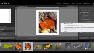 How to Print from Adobe Photoshop Lightroom to the EPSON R2880 [upl. by Litha]