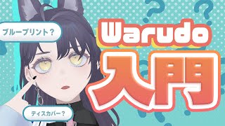 【Warudo】超入門！Warudoを使って3D歌枠配信を作ろう【初心者向け】 [upl. by Dressler]