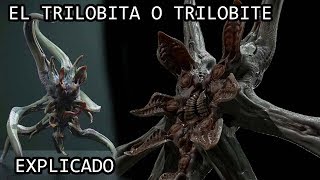 El Trilobita o Trilobite EXPLICADO [upl. by Aidnis]