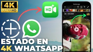 ESTADOS de WHATSAPP cómo EXPRIMIRLOS al MÁXIMO Tutorial completo [upl. by Standush]