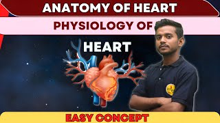 Human Heart  Anatomy Physiology Of Heart In Hindi  Human Heart 12th Class  Human Heart Diagram [upl. by Alimhaj]