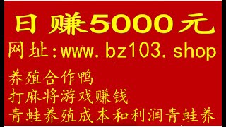 多多买菜县城代理赚钱吗鱼塘钓鱼怎么赚钱数字货币能赚到钱吗赚钱项目月赚七万第53季 [upl. by Feinstein]