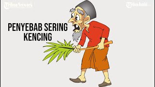 Penyebab Sering Kencing [upl. by Allyce548]