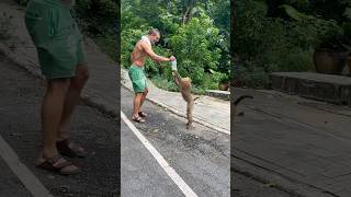 Monkey🐒 attacked us in thailand😳 [upl. by Childers]