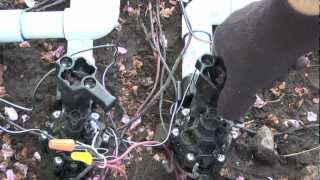 How to manually open a Rain Bird DV Series sprinkler valve [upl. by Stuckey]