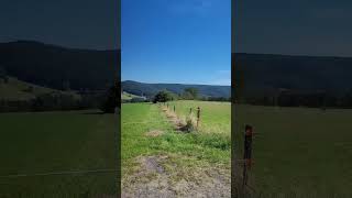 Allgäu im Odenwald Blick auf die Oberzent von Etzean Hessen ausQuaint Hessian German countryside [upl. by Wyck]