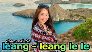 LAGU JOGET ENDE LIO TERBARU  LEANG LEANG LE LE  PESTA DANSA  TANAAU REMIX [upl. by Aivataj]